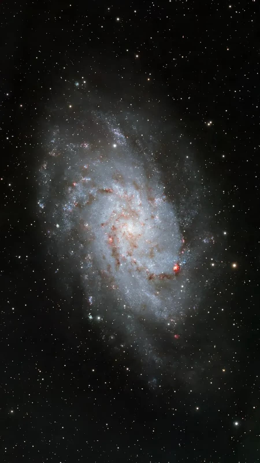 M 33 avec l'Askar 71F et l'ASI 585MC Pro, 39 x 300 s