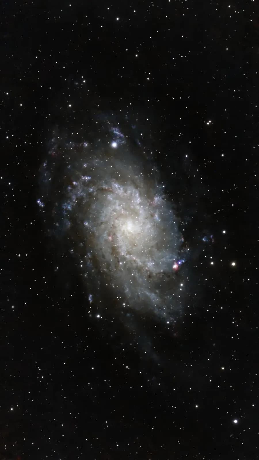 M 33 avec le Seestar S50, 486 x 20 s