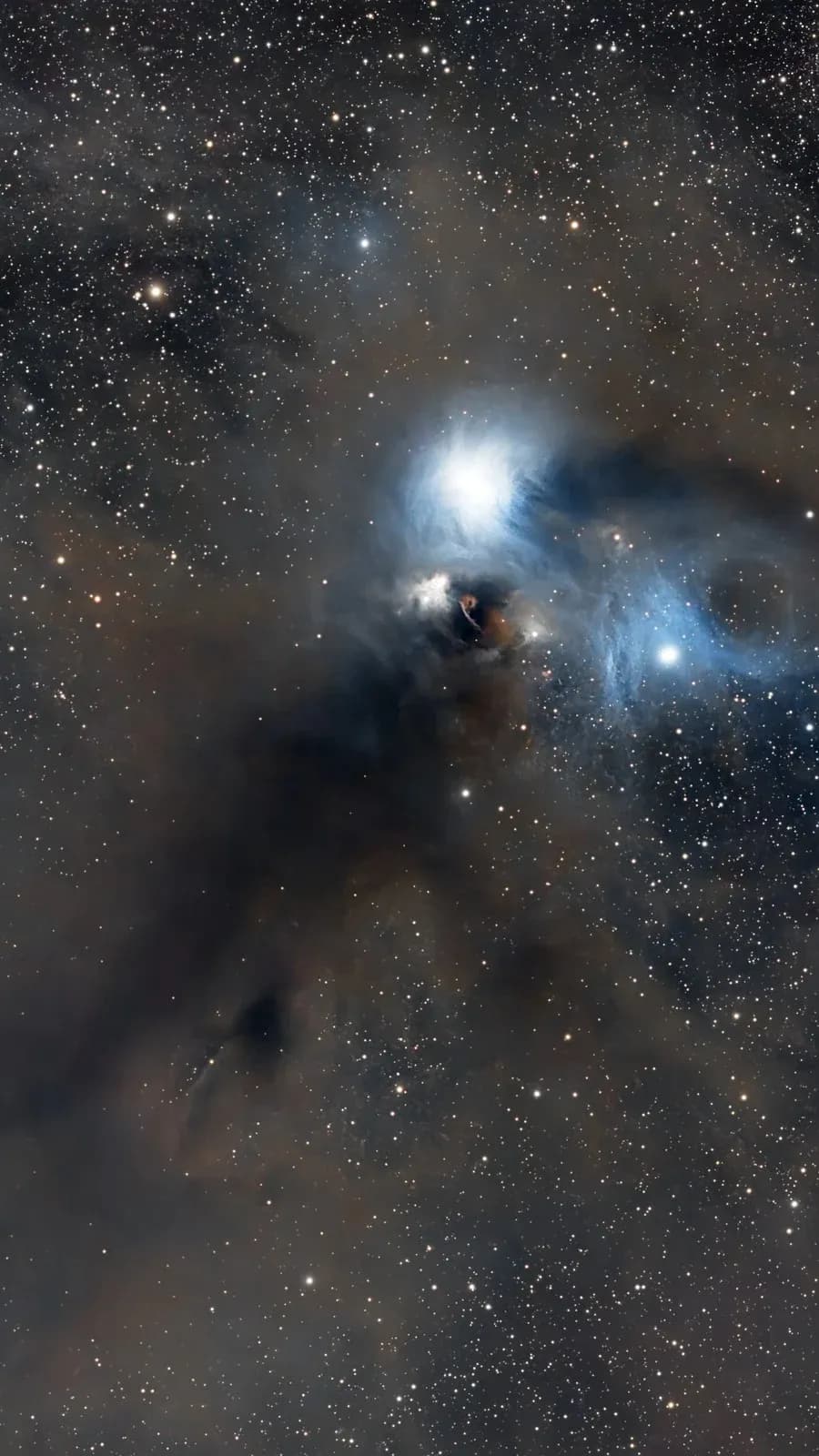 NGC 6729 avec l'Askar 71F et l'ASI 585MC Pro, 37 x 300 s