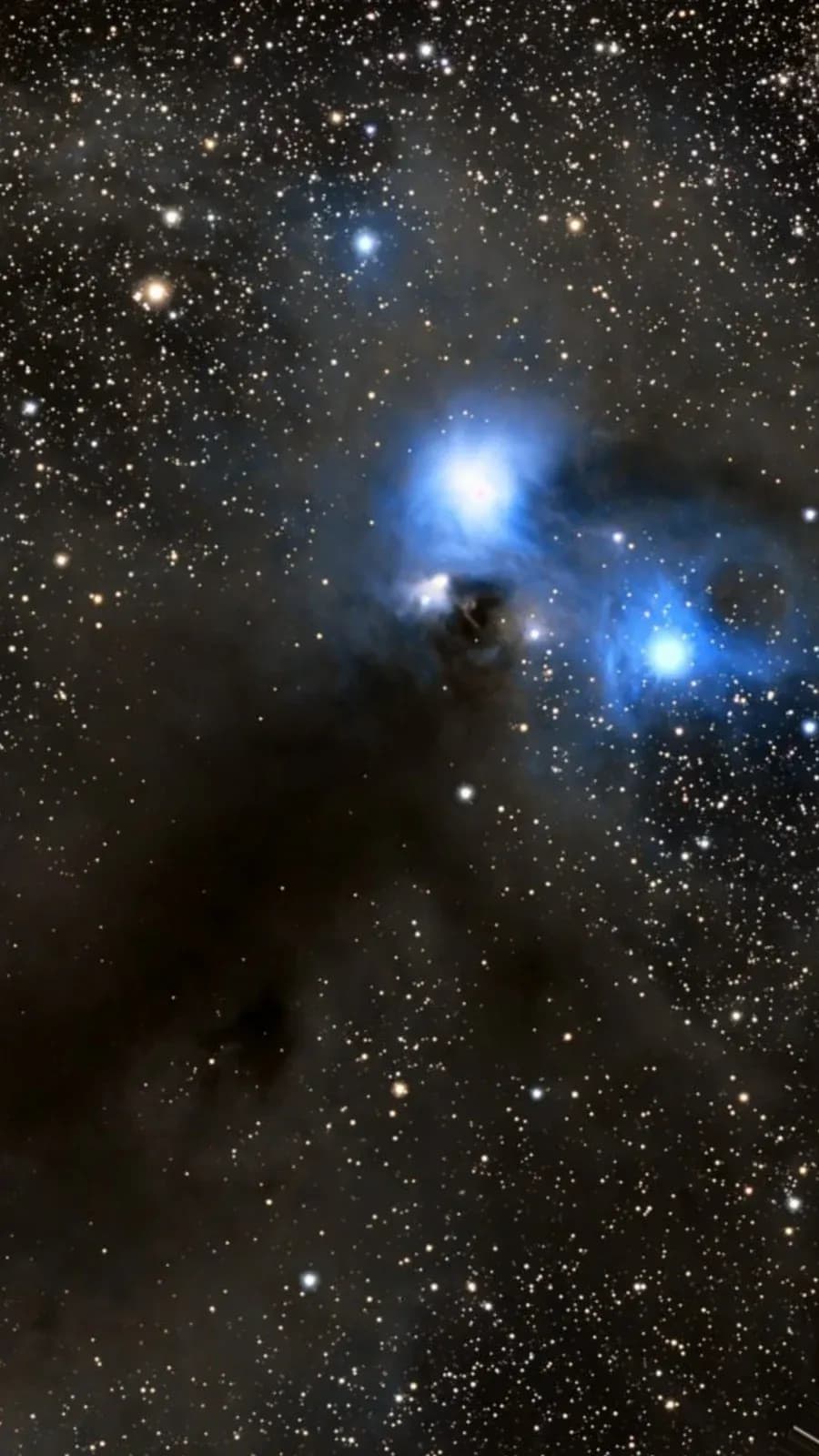 NGC 6729 avec le Seestar S50, 607 x 20 s
