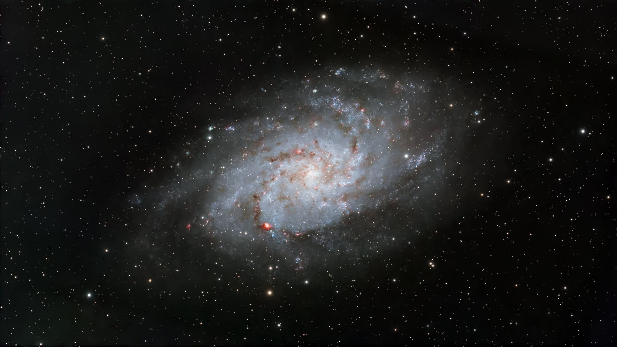 M 33 Galaxie du Triangle, 39x300s - Askar 71F et ASI585MC