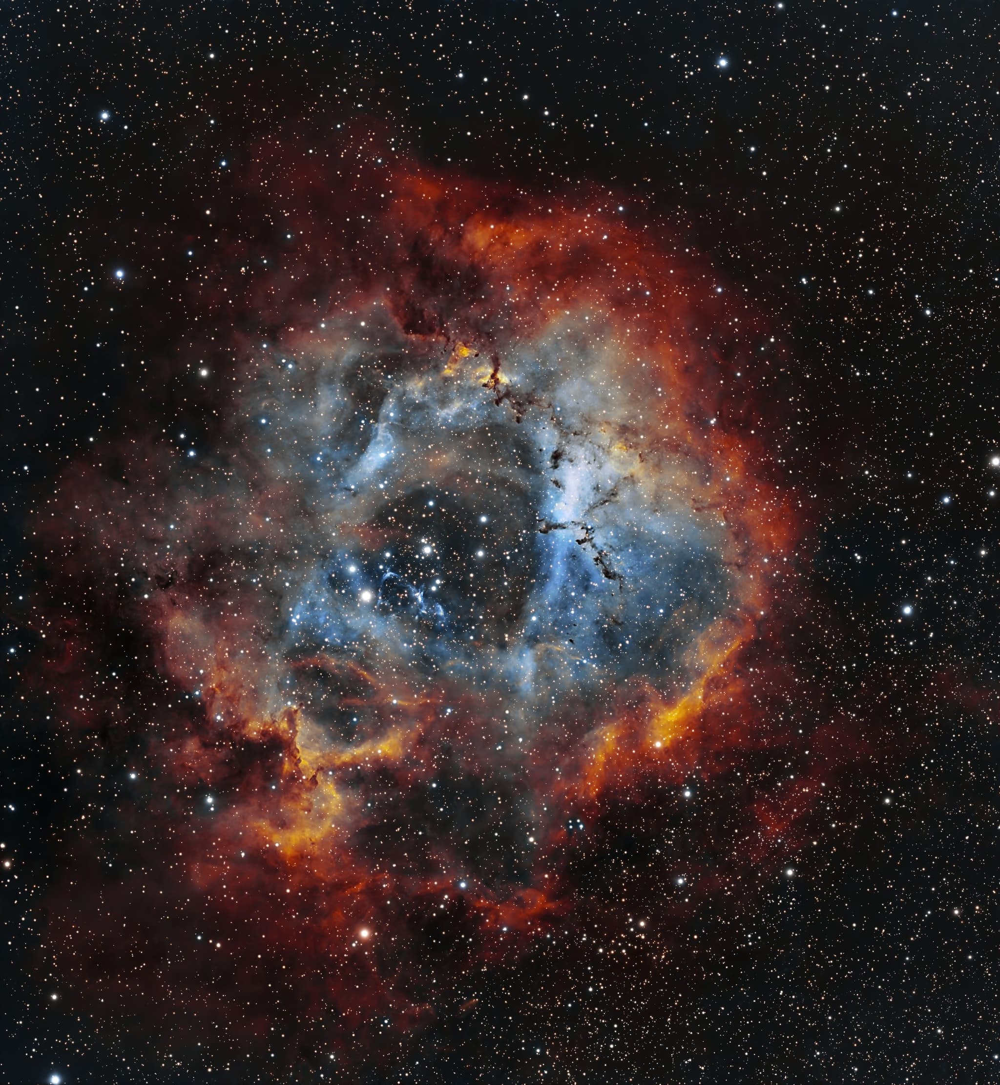 NGC 2237 Nebuleuse de la Rosette, 38x300s - Askar 71F et ASI585MC