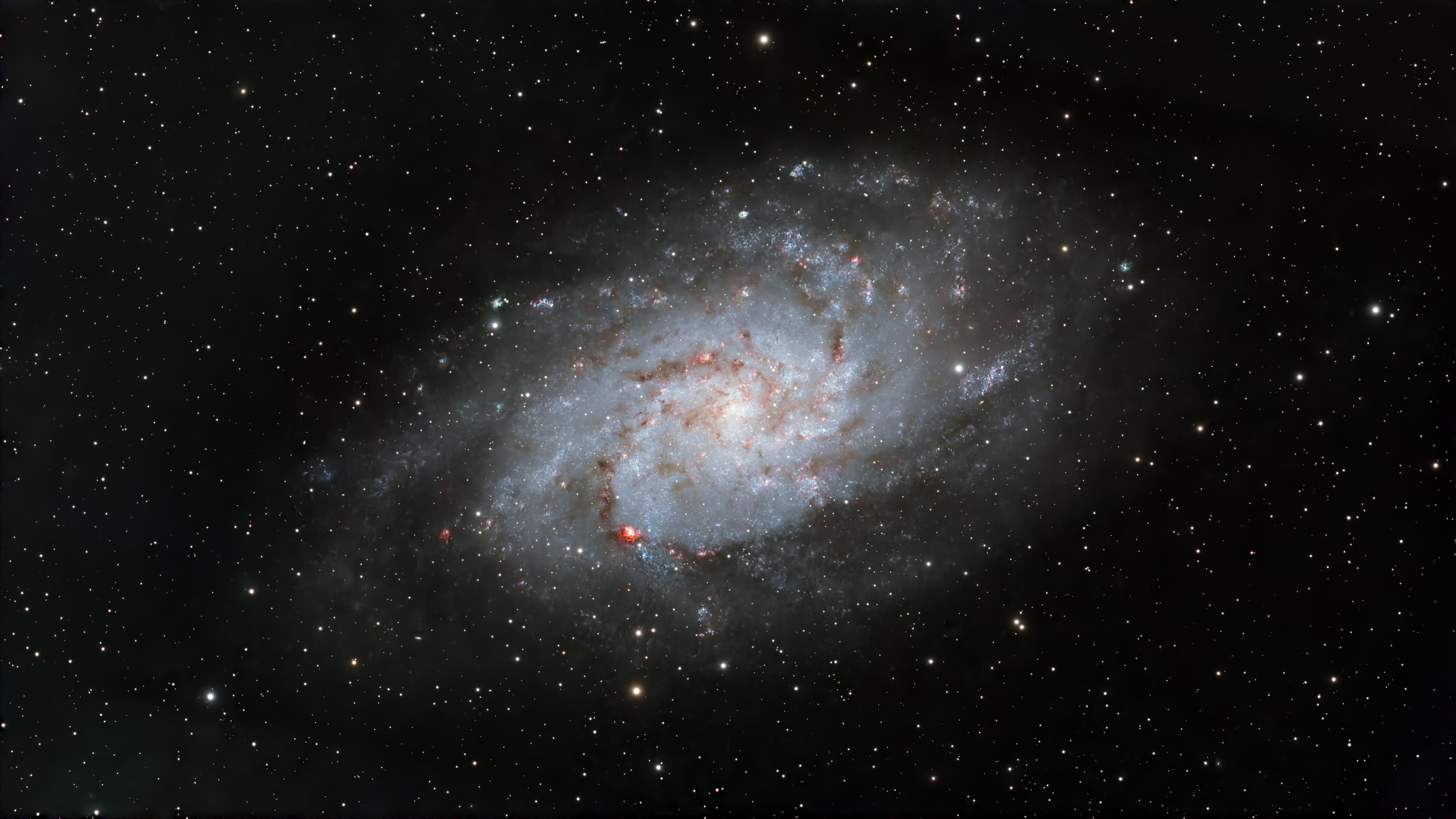 M 33 Galaxie du Triangle, 39x300s - Askar 71F et ASI585MC