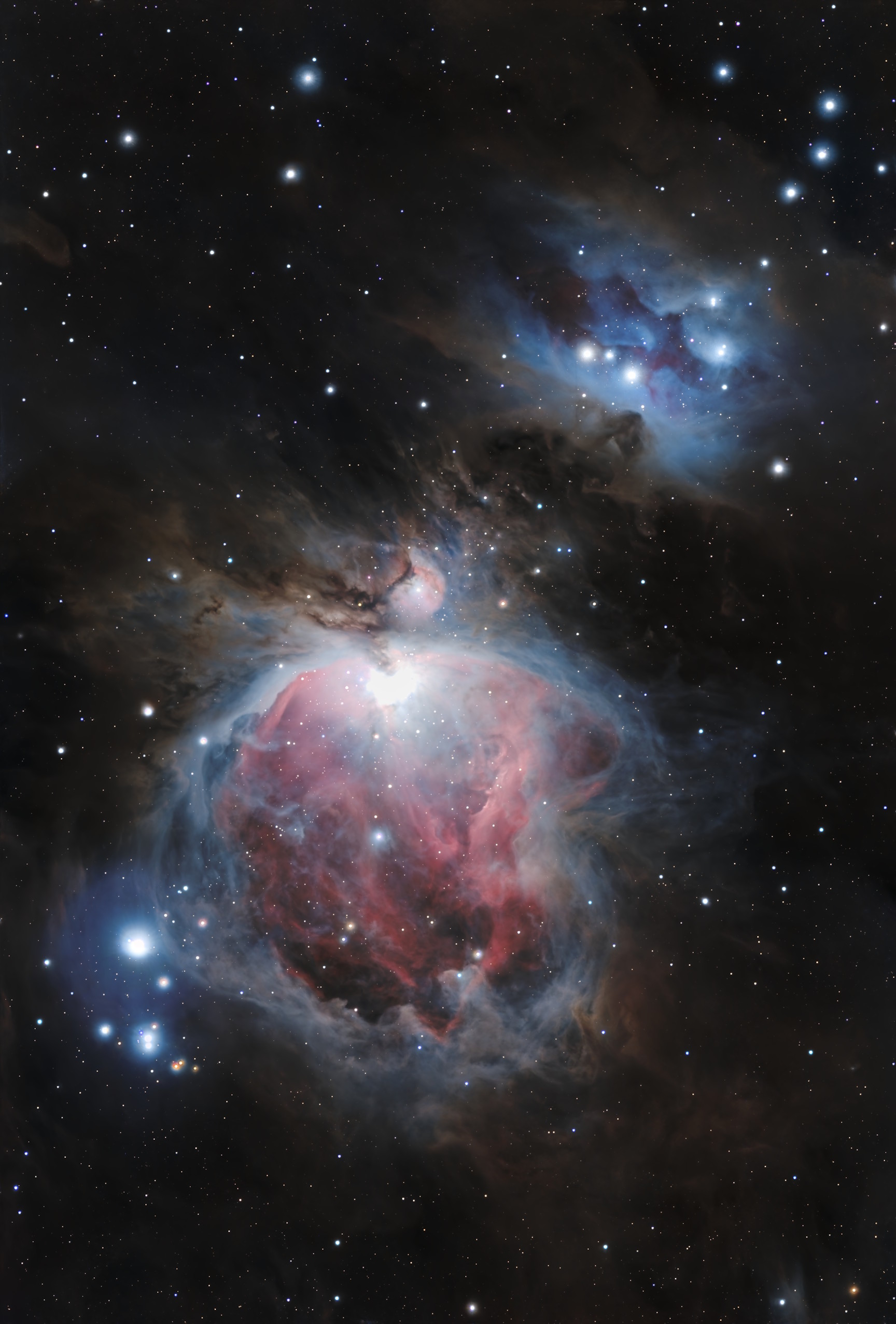 M 42 Nébuleuse d'Orion, 43×300s - Askar 71F et ASI585MC