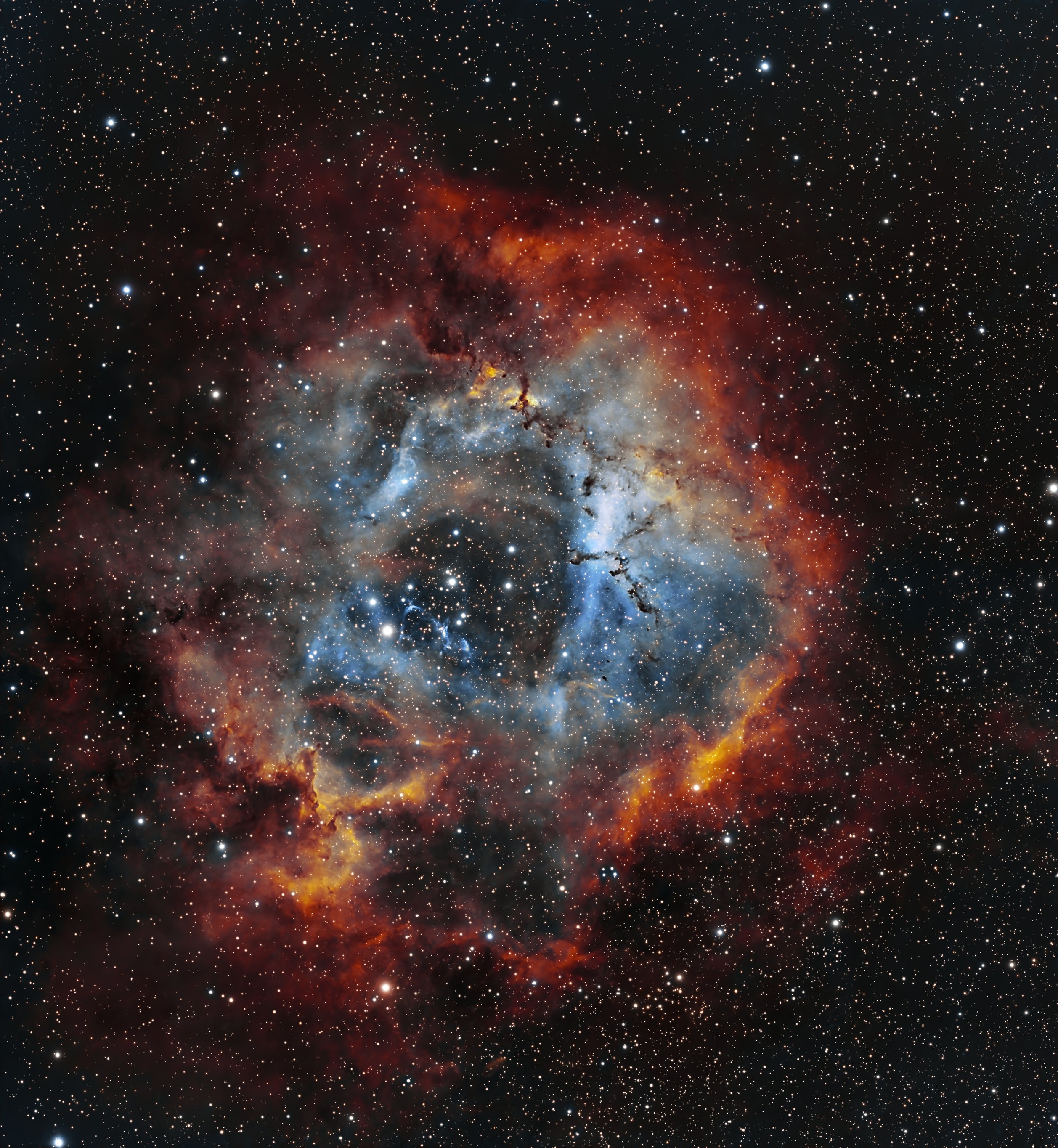NGC 2237 Nébuleuse de la Rosette, 38×300s - Askar 71F et ASI585MC